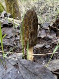 IMG_2572.jpeg