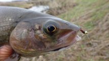 DSC05582.JPG
