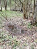IMG_20250426_105.jpg