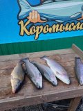 Изображение хрюхрюp 2025-04-26 в 13.20.24_f416daa3.jpg