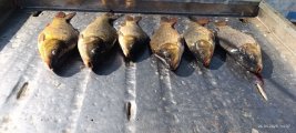 IMG_20250426_194012_453.jpg