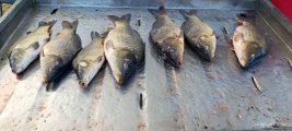 IMG_20250426_194006_302.jpg