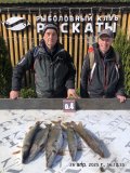 IMG-20250426-WA0046.jpg