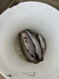 IMG_9263.jpeg