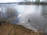 IMG-20250426-WA0035.jpg