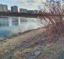 IMG_20250407_200915.jpg