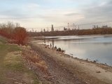 IMG_20250321_175705.jpg
