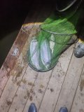 IMG_20250427_074741_793.jpg