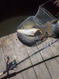 IMG_20250427_074741_486.jpg