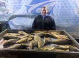 IMG_20250427_074741_308.jpg