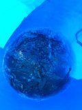 IMG-20250427-WA0004.jpg