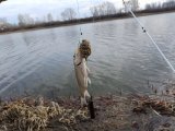 IMG_20250425_091718.jpg