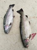 IMG-20250427-WA0033.jpg