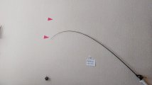 20250316_135422.jpg