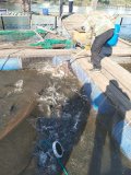 IMG-20250428-WA0000.jpg