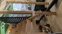 PXL_20250428_062049970.jpg