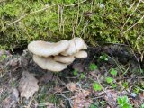 IMG-20250427-WA0054.jpg
