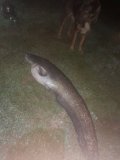 20250425_030946.jpg