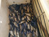 IMG_20250428_151211_018.jpg
