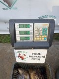 IMG_20250428_180729.jpg