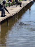 IMG_6086.jpeg