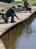IMG_6087.jpeg