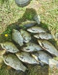 IMG_20250428_151329.jpg