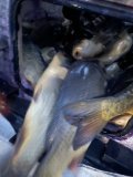 IMG_1669.jpeg