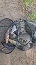 VideoCapture_20250429-052713.jpg