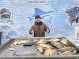 IMG_20250429_184149_081.jpg