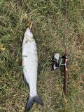 IMG_0440.jpeg