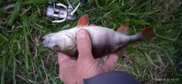 IMG_20250429_201331.jpg