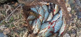 IMG_4117.jpeg