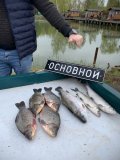 IMG_9041.jpeg