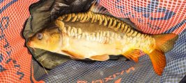 IMG_20250430_105332.jpg