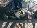 IMG-20250430-WA0031.jpg