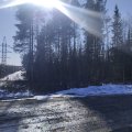 IMG_20250429_161741.jpg