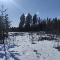 IMG_20250429_160619.jpg
