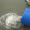 IMG_20250501_083150.jpg