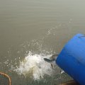 IMG_20250501_083321_2.jpg