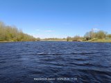 IMG20250501113333.jpg