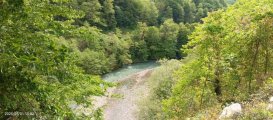 IMG_20250501_150228_451.jpg