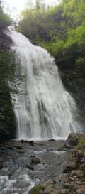 IMG_20250501_161731_267.jpg