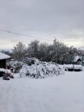 IMG-20250502-WA0010.jpg