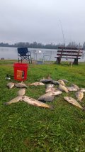 IMG_20250501_084154.jpg