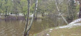 IMG_20250502_120600.jpg
