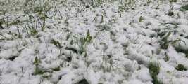 IMG_20250502_122824.jpg
