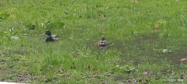 IMG_20250501_184858.jpg