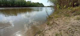 IMG_20250502_155253.jpg