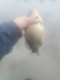 IMG_20250502_125818.jpg